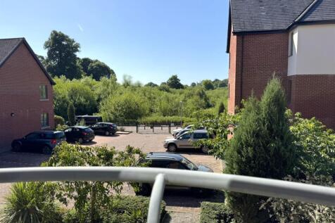 IMG_5796.JPEG