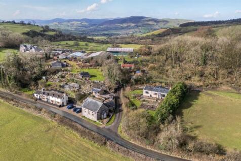 67bc81518e877-1241530 (14).jpg