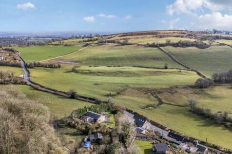 -69150b4423482-l-1241530 (16).jpg