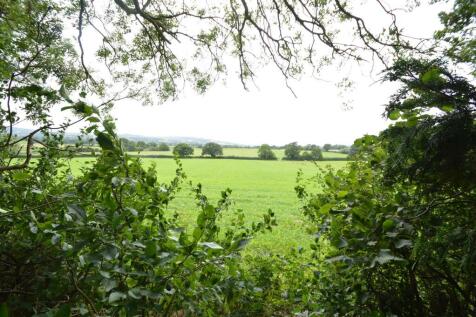DSC_0444.JPG