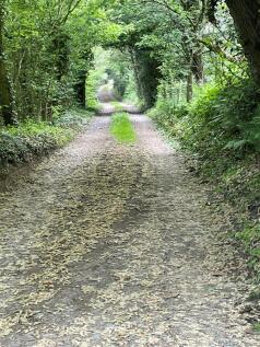 Access track.jpg