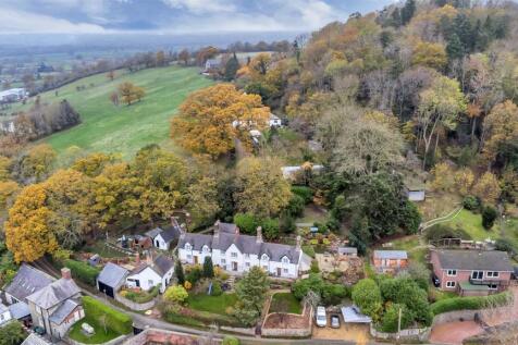 DJI_0874.jpg