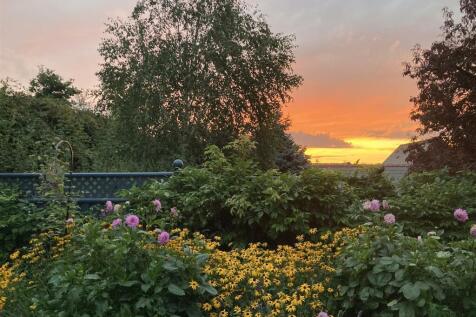 sunset.jpg