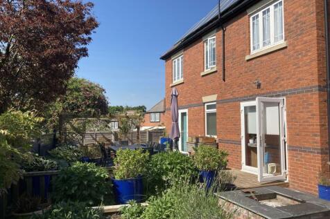Back Garden.jpg
