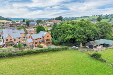 DJI_0923.jpg