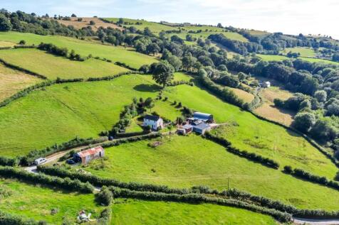DJI_0656.jpg
