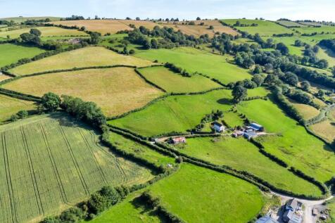 DJI_0662.jpg