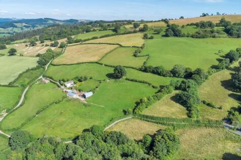 DJI_0668.jpg