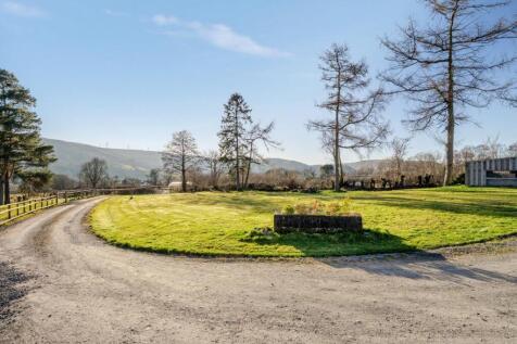 Driveway view.jpg