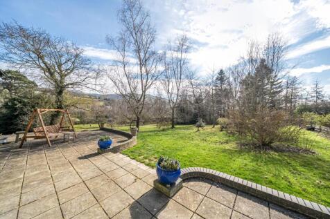 Patio view.jpg