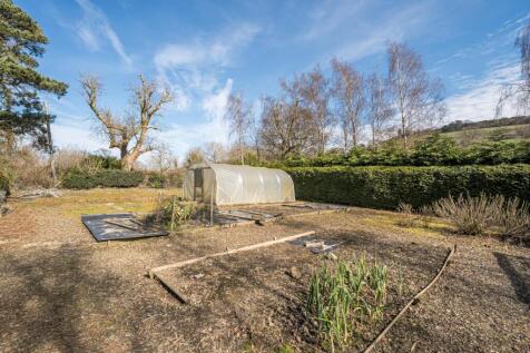 Polytunnel.jpg