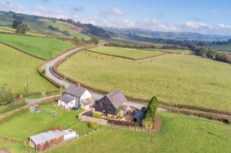 DJI_0975.jpg