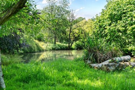 Pond view.jpg
