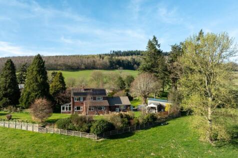 DJI_0182.jpg