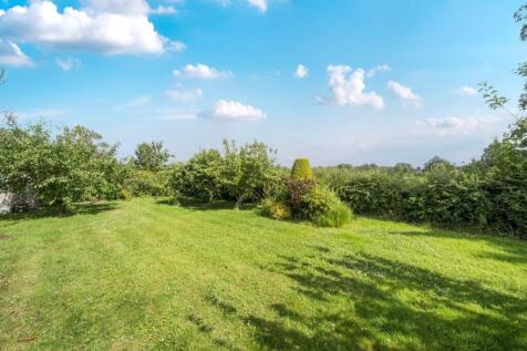 Garden view.jpg