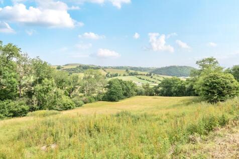 Field view.jpg