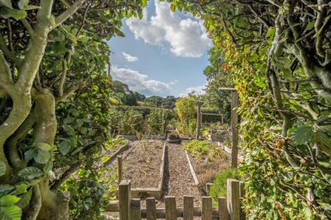 veg patch.jpg