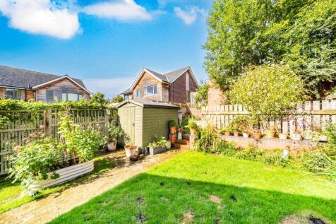Garden with shed and plants.jpg