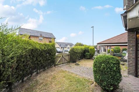 Front garden.jpg
