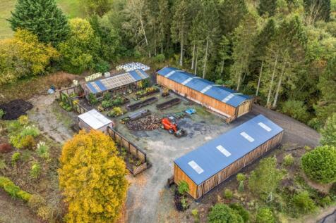 Elevated outbuildings.jpg