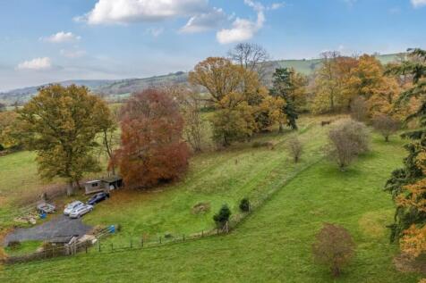 Elevated paddock.jpg