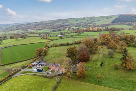 Elevated situation.jpg