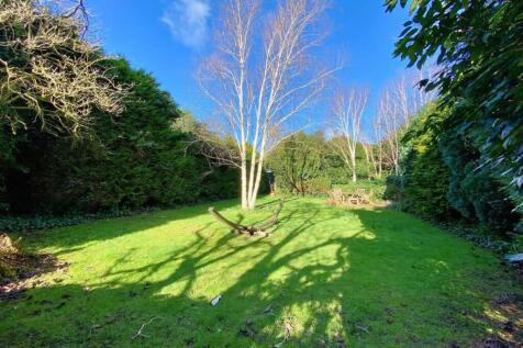 Property Image 41