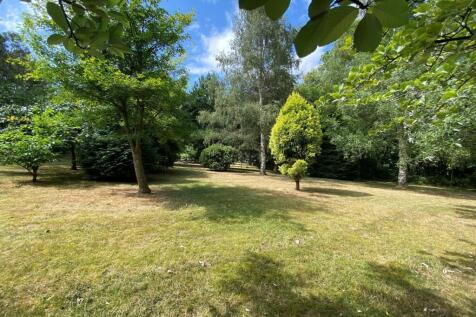 Property Image 45