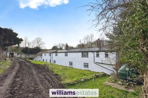 Rear of the Property