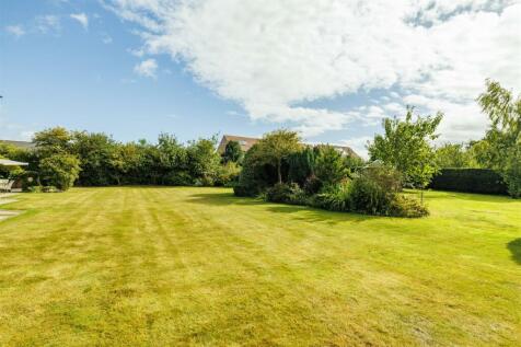 1_St_John_Meadow_2.jpg