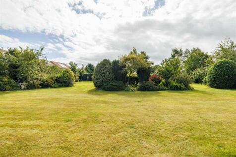 1_St_John_Meadow_1.jpg