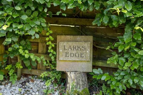 Larks_Edge_16.jpg