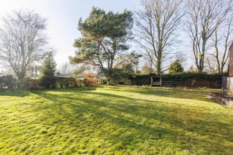 Orchard_View_3.jpg