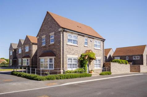 31_Throstle_Close_33.jpg