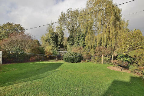 rear garden 2
