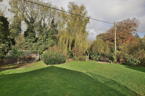 rear garden 3