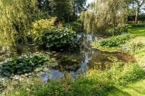 Property Image 31