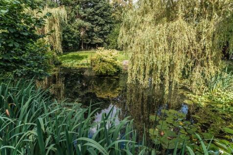 Property Image 32