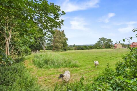 Field View