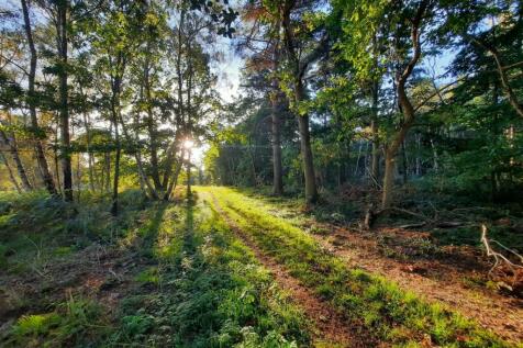 Rushmere Heath and Golf Course
