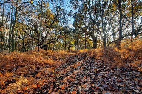 Rushmere Heath and Golf Course
