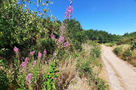 Martlesham Area