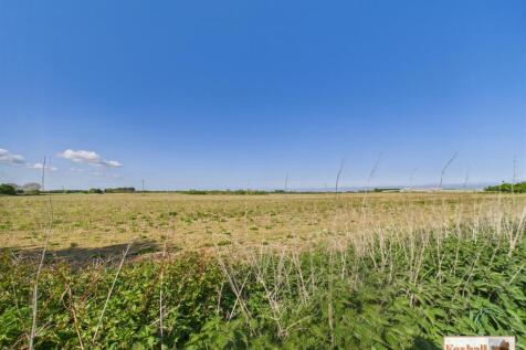 Woodland &amp; Surrounding Areas