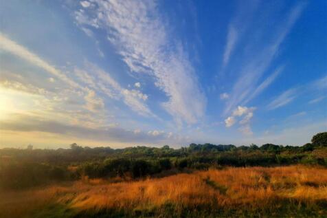 Woodland &amp; Surrounding Areas
