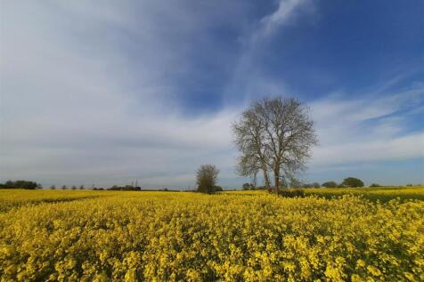 Woodland &amp; Surrounding Areas