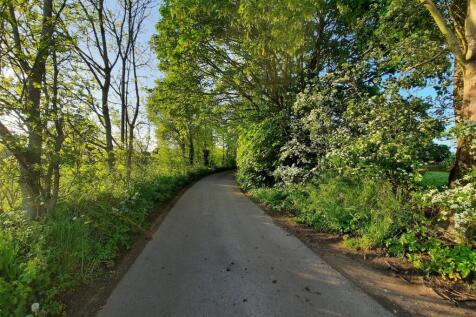 Surrounding Area 4.jpg