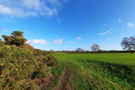 Scenes of Rushmere Heath