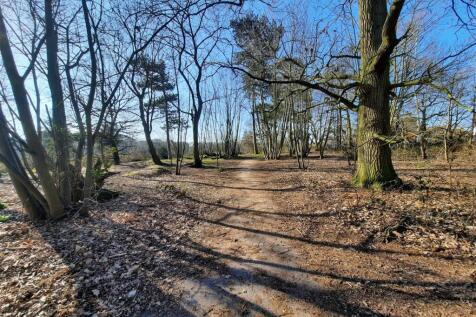 Woodland and Surroundings