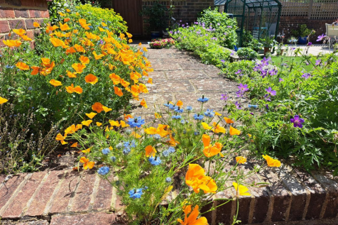 Property Image 30