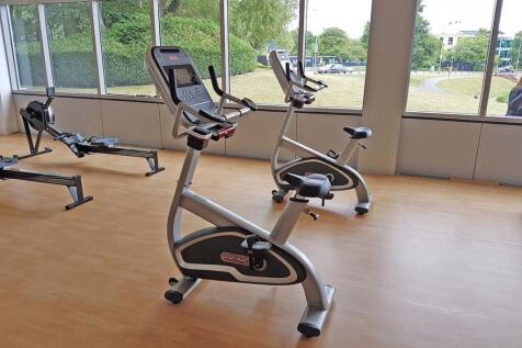 Reflex gym.jpg
